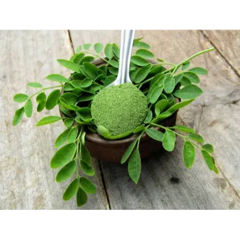 Moringa Leaves